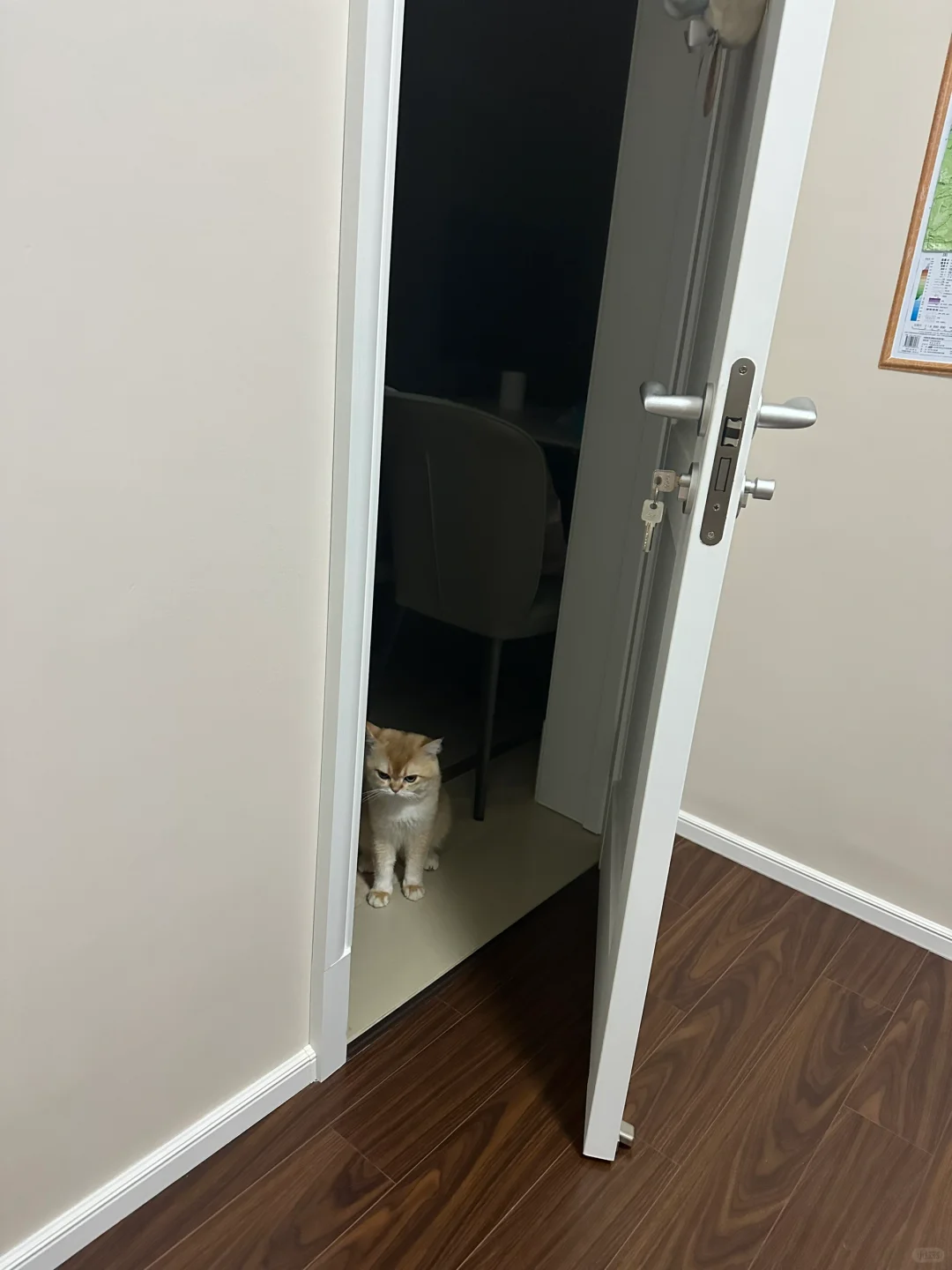 <b>告别自然流产的痛苦：比痛经更难受的经历，您不想再有第二次</b>