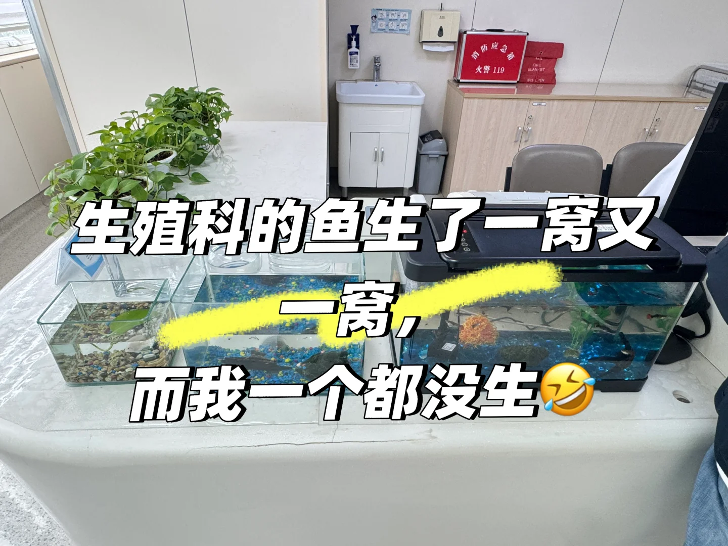 <b>协和再次无麻取卵全过程，通过✅,代孕具体付费流程&国内供卵费是多少</b>