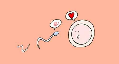 <b>上海助孕妈妈：远大医院试管婴儿成功率及费用解析</b>